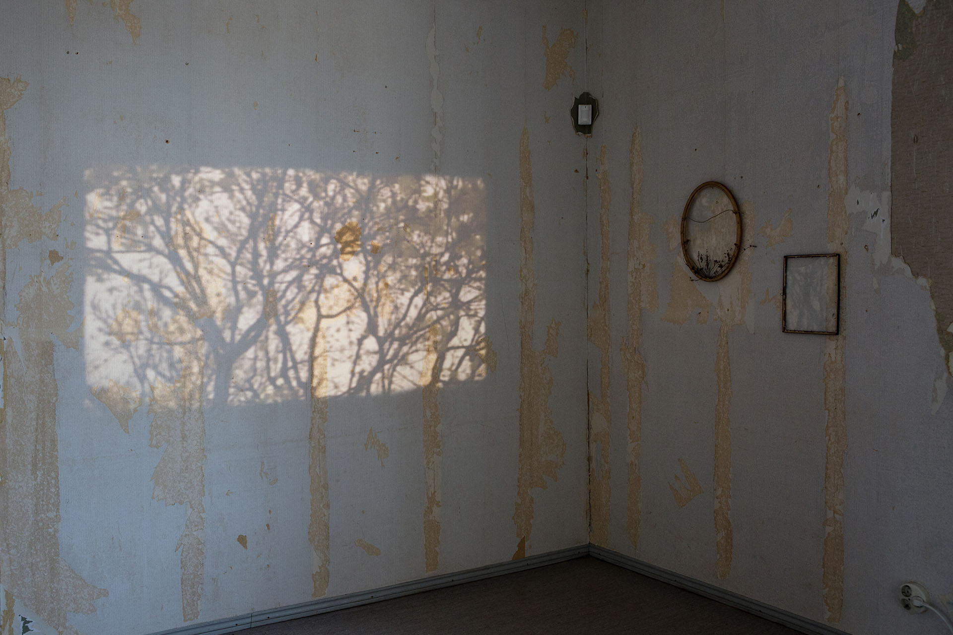 Huoneen nurkka, jonka seinistä on revitty tapetti. Vasemmalla seinällä puiden oksien varjoja valojuovassa, oikealla kaksi pientä tyhjää kehystä. / The corner of a room with the wallpaper torn away. Shadows of tree branches fall across a patch of light on the left wall; two small empty frames hang on the right.