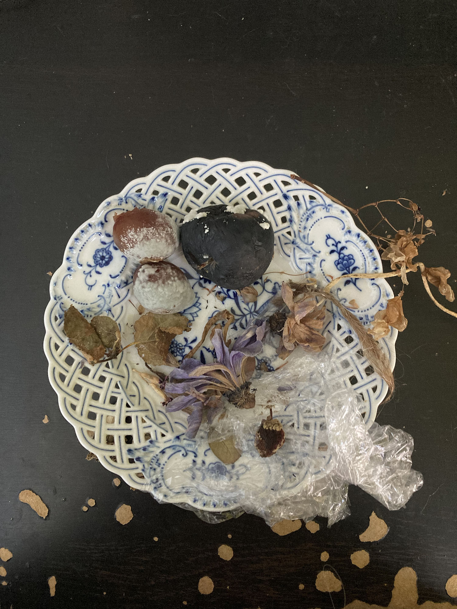 Kuivuneita kukkia, homehtuneita puutarhahedelmiä, hiuksia ja muovikääre koristeellisella posliinilautasella, tummalla työpöydällä. / Dried flowers, mouldering garden fruit, hair and a piece of plastic wrap on a decorated porcelain plate, sitting on a dark desk.